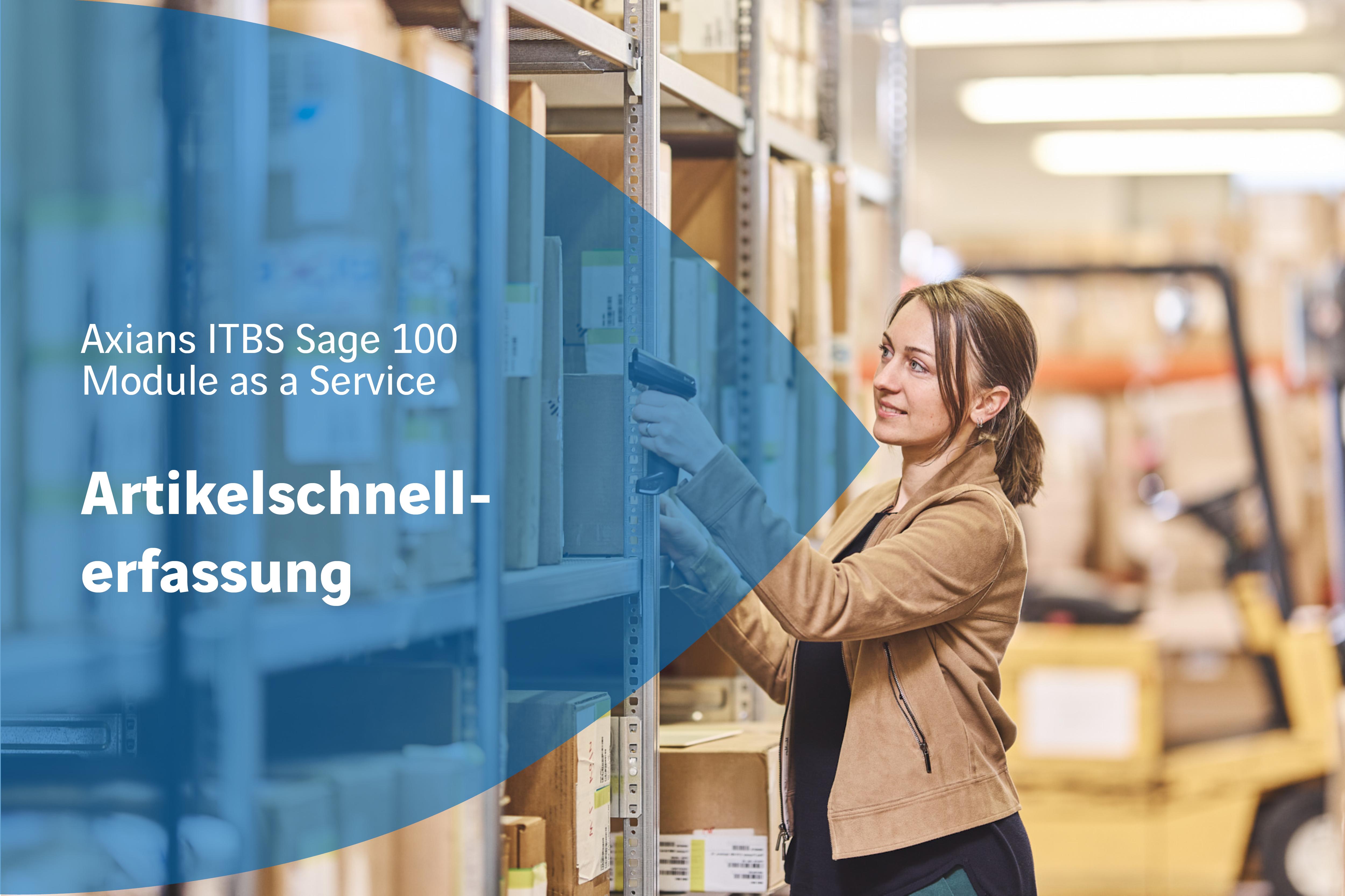 Artikelschnellerfassung